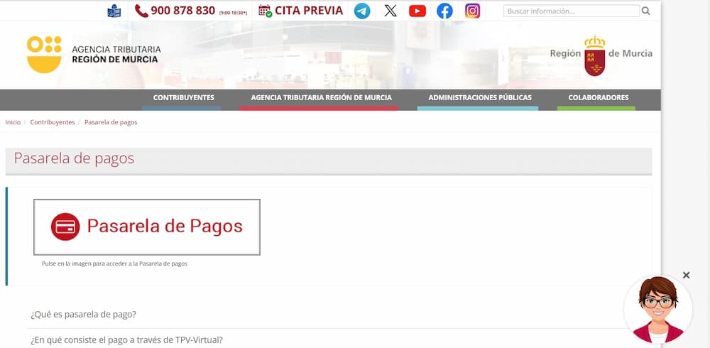 CARM決済ゲートウェイ:その概要、仕組み、そして3つの目的 CARM決済ゲートウェイ(1)